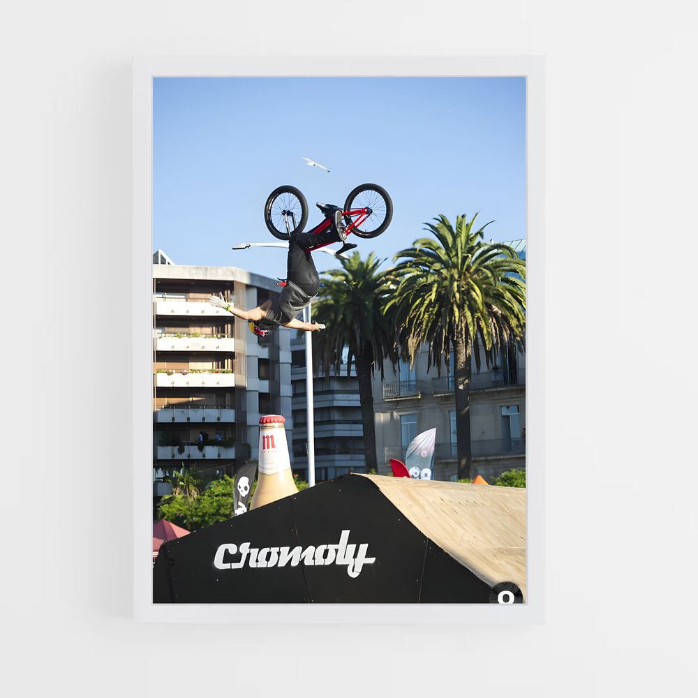 Poster BMX Stunt Master (vue 3)